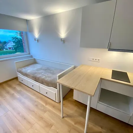 Apartment Cozy Studio Kaunas